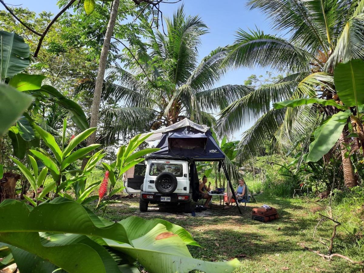 La Munequita Lodge 1 - Culture & Nature Experience Palmar Norte Exterior photo
