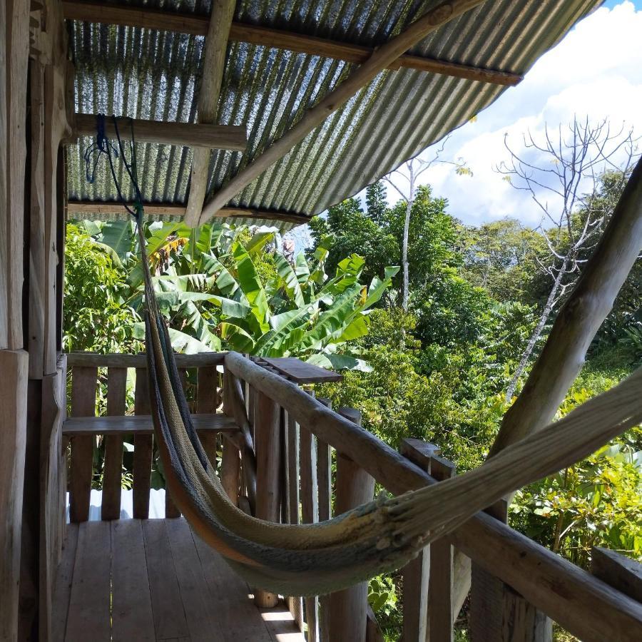 La Munequita Lodge 1 - Culture & Nature Experience Palmar Norte Exterior photo
